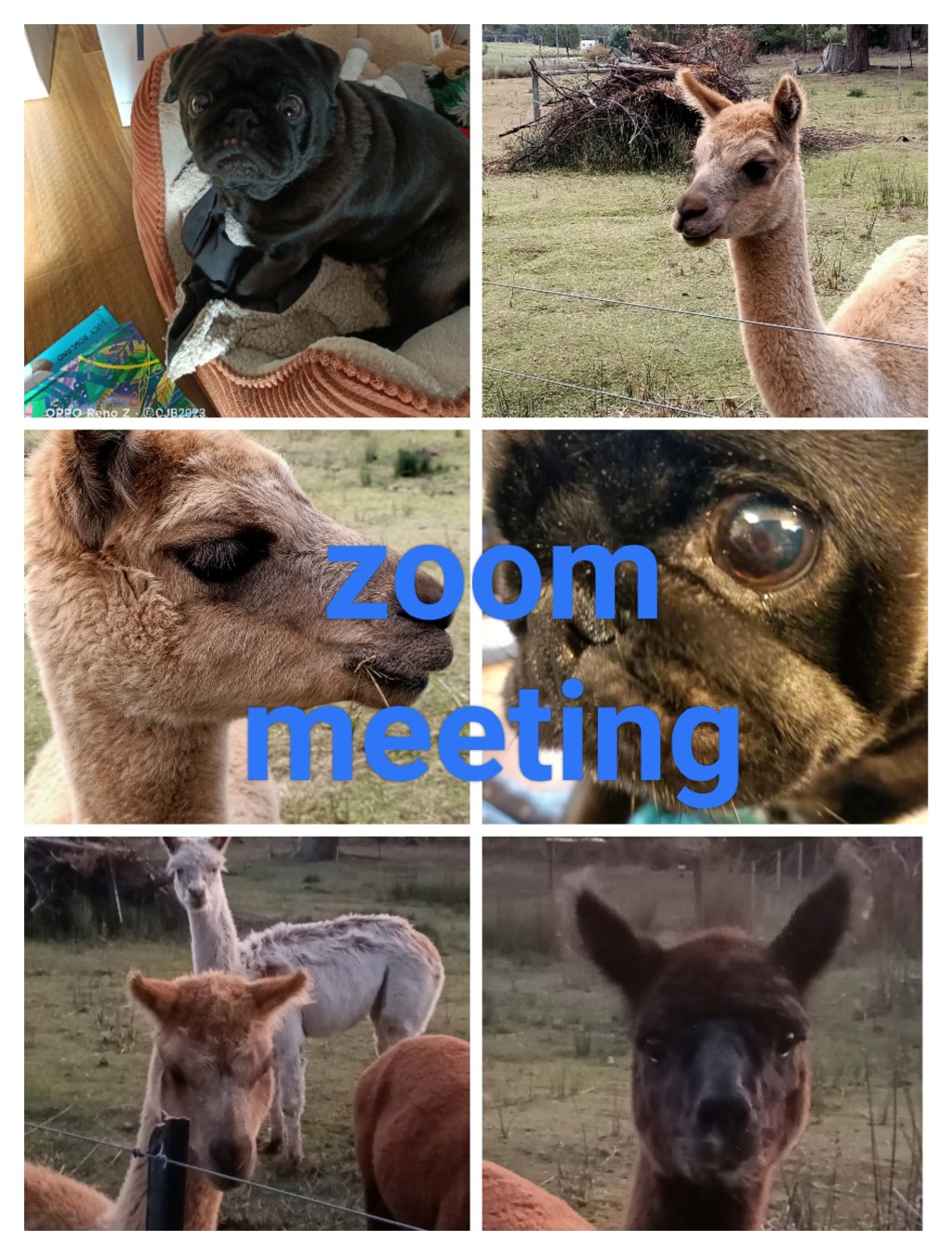 The Morning After&nbsp;CYA