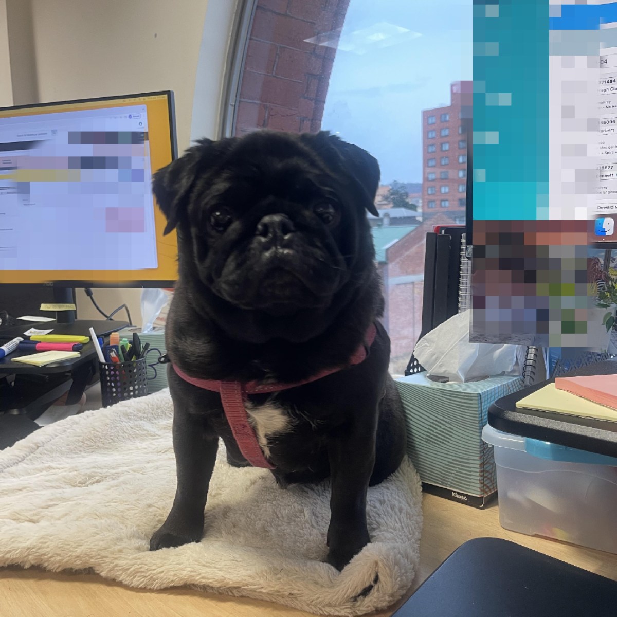 Would you like AI with&nbsp;that?