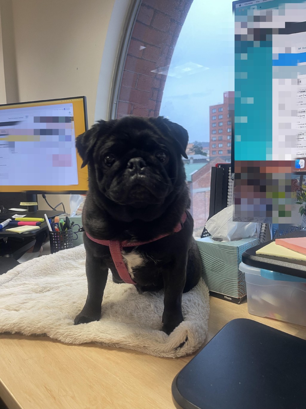 Would you like AI with&nbsp;that?